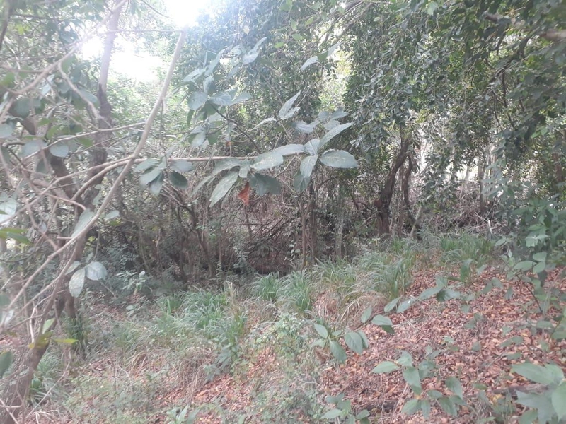 : 2ª foto da galeria de imagens do imóvel