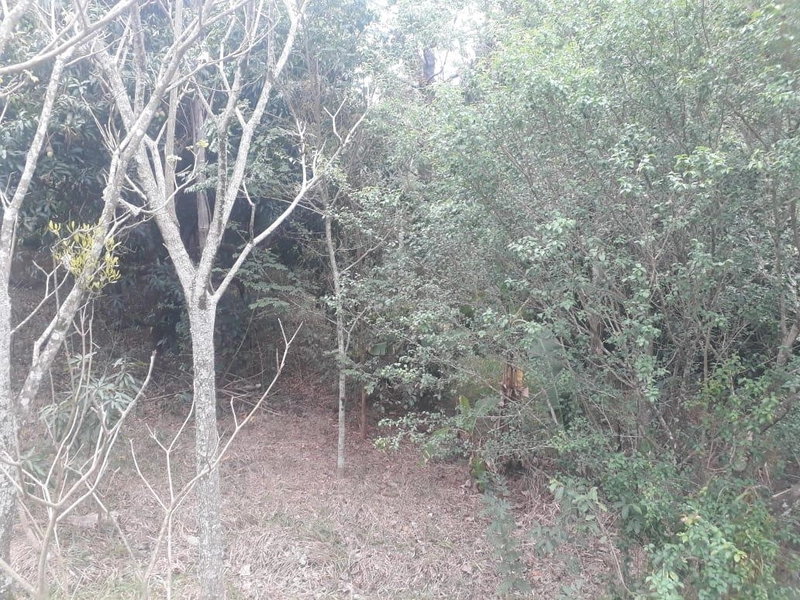 : 4ª foto da galeria de imagens do imóvel