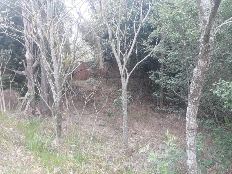 : 5ª foto da galeria de imagens do imóvel