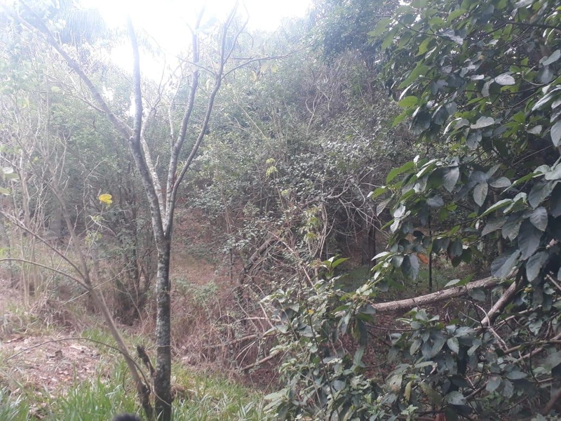 : 3ª foto da galeria de imagens do imóvel