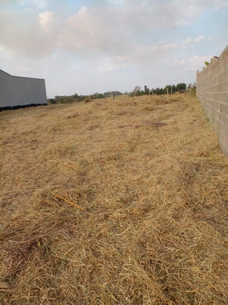 : 4ª foto da galeria de imagens do imóvel