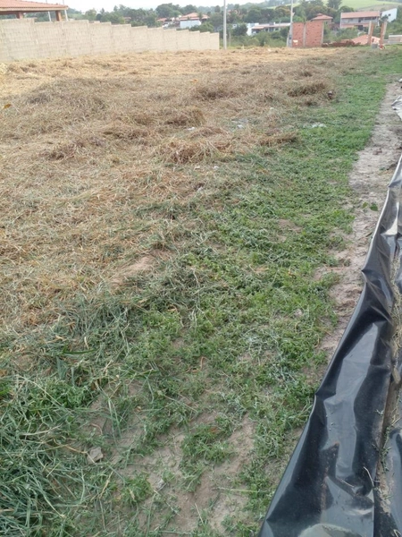 : 6ª foto da galeria de imagens do imóvel