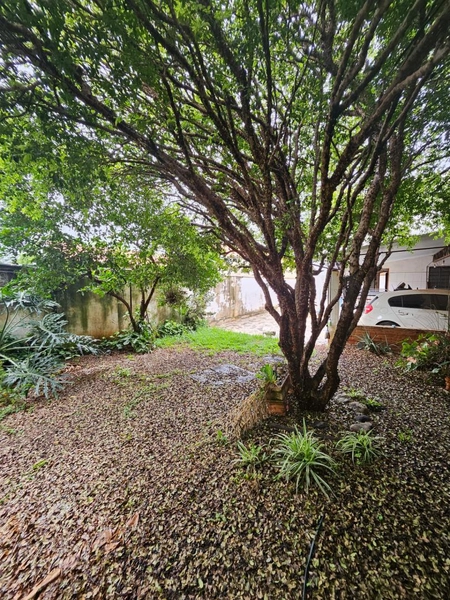 : 38ª foto da galeria de imagens do imóvel