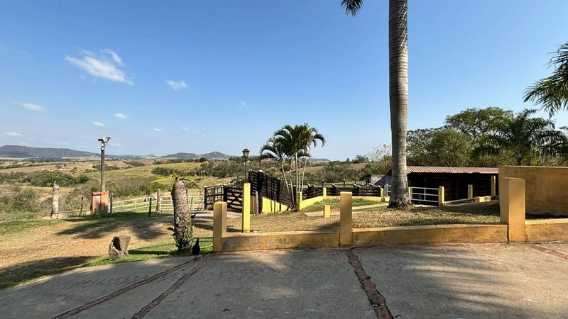 SÍTIO A VENDA NO BAIRRO VOLTA GRANDE/SERROTE COM 8 ALQUEIRES: 12ª foto da galeria de imagens do imóvel