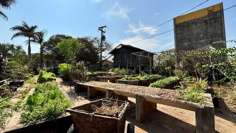 SÍTIO A VENDA NO BAIRRO VOLTA GRANDE/SERROTE COM 8 ALQUEIRES: 5ª foto da galeria de imagens do imóvel