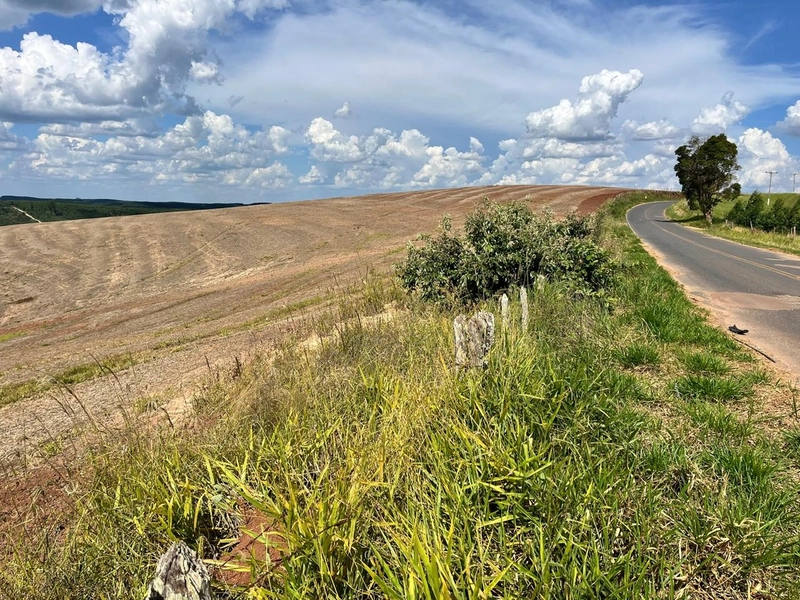 FAZENDA À VENDA NA CIDADE DE BURI COM 65 ALQUEIRES: 9ª foto da galeria de imagens do imóvel