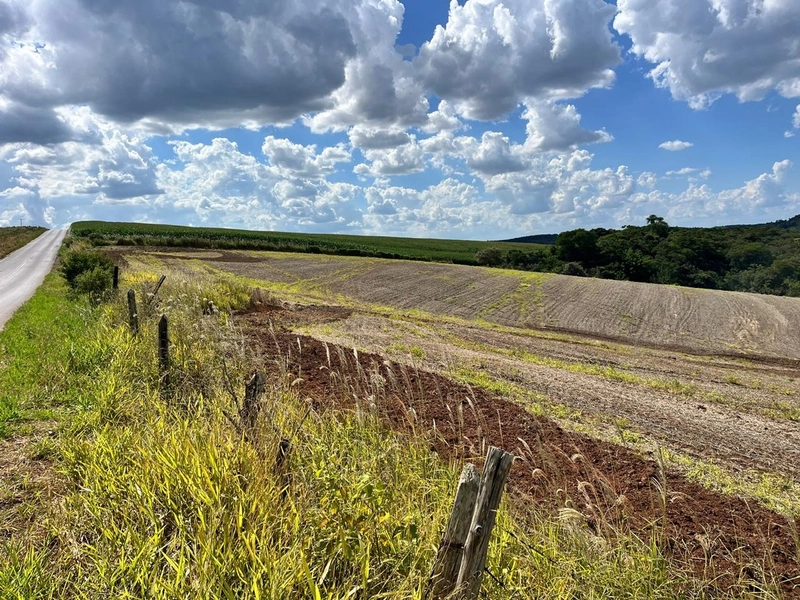 FAZENDA À VENDA NA CIDADE DE BURI COM 65 ALQUEIRES: 11ª foto da galeria de imagens do imóvel