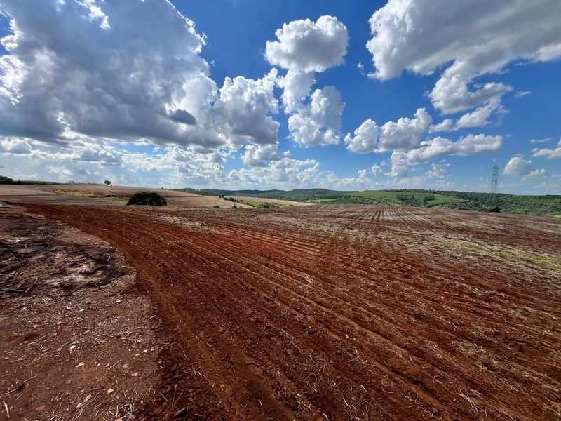 FAZENDA À VENDA NA CIDADE DE BURI COM 65 ALQUEIRES: 1ª foto da galeria de imagens do imóvel