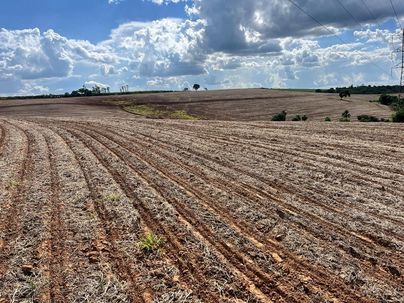 FAZENDA À VENDA NA CIDADE DE BURI COM 65 ALQUEIRES: 3ª foto da galeria de imagens do imóvel