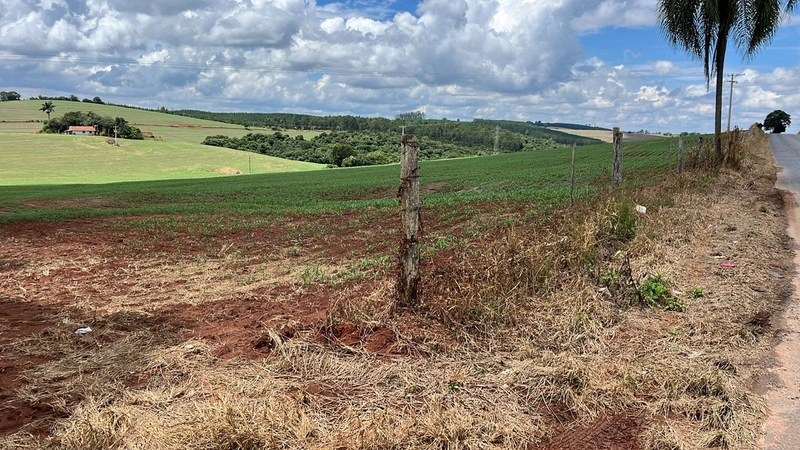 FAZENDA À VENDA NA CIDADE DE BURI COM 65 ALQUEIRES: 7ª foto da galeria de imagens do imóvel
