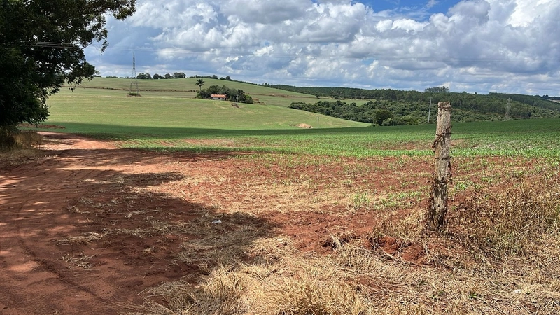 FAZENDA À VENDA NA CIDADE DE BURI COM 65 ALQUEIRES: 6ª foto da galeria de imagens do imóvel