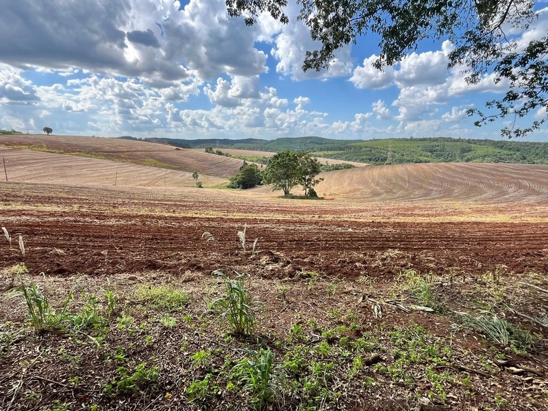 FAZENDA À VENDA NA CIDADE DE BURI COM 65 ALQUEIRES: 5ª foto da galeria de imagens do imóvel