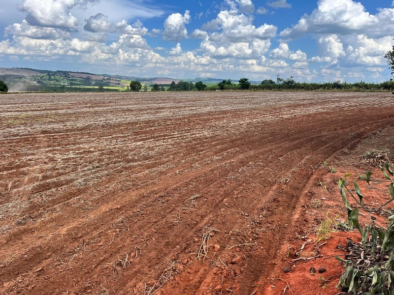 FAZENDA À VENDA NA CIDADE DE BURI COM 65 ALQUEIRES: 2ª foto da galeria de imagens do imóvel