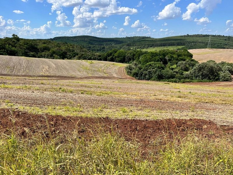 FAZENDA À VENDA NA CIDADE DE BURI COM 65 ALQUEIRES: 4ª foto da galeria de imagens do imóvel
