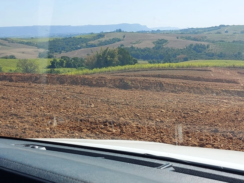 FAZENDA À VENDA EM CHARQUEADA COM 38 ALQUEIRES: 11ª foto da galeria de imagens do imóvel