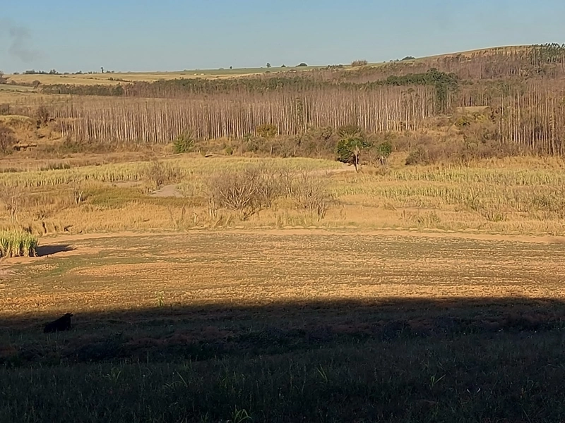 FAZENDA À VENDA EM CHARQUEADA COM 38 ALQUEIRES: 14ª foto da galeria de imagens do imóvel