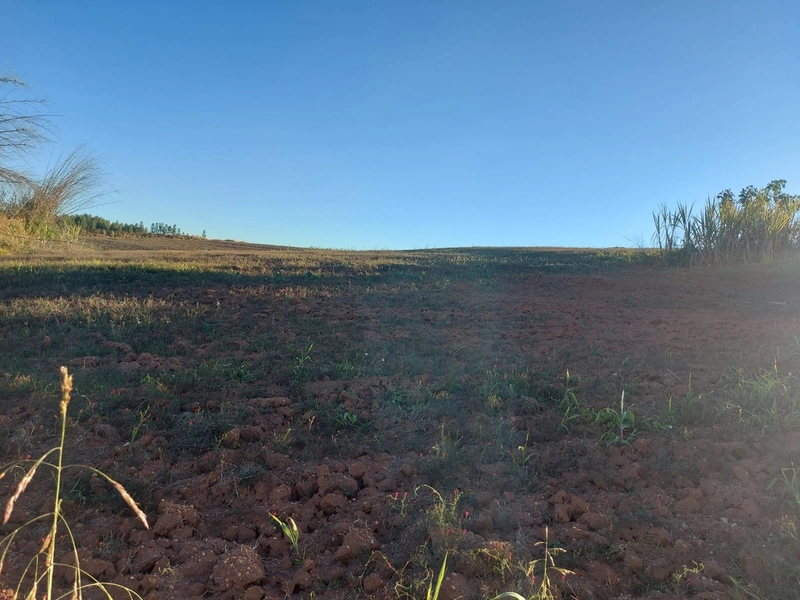 FAZENDA À VENDA EM CHARQUEADA COM 38 ALQUEIRES: 7ª foto da galeria de imagens do imóvel