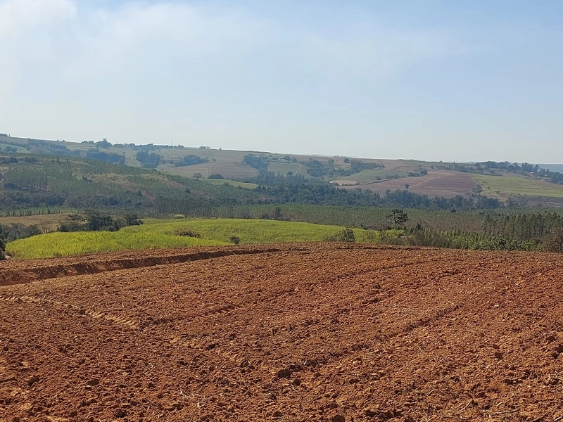 FAZENDA À VENDA EM CHARQUEADA COM 38 ALQUEIRES: 6ª foto da galeria de imagens do imóvel