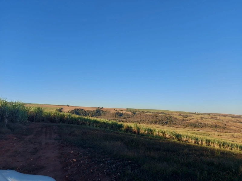 FAZENDA À VENDA EM CHARQUEADA COM 38 ALQUEIRES: 5ª foto da galeria de imagens do imóvel