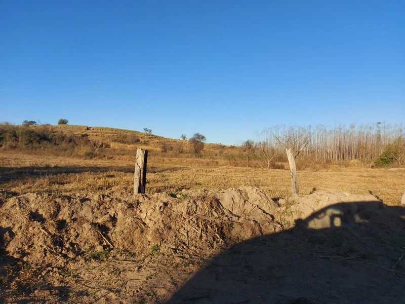 FAZENDA À VENDA EM CHARQUEADA COM 38 ALQUEIRES: 12ª foto da galeria de imagens do imóvel