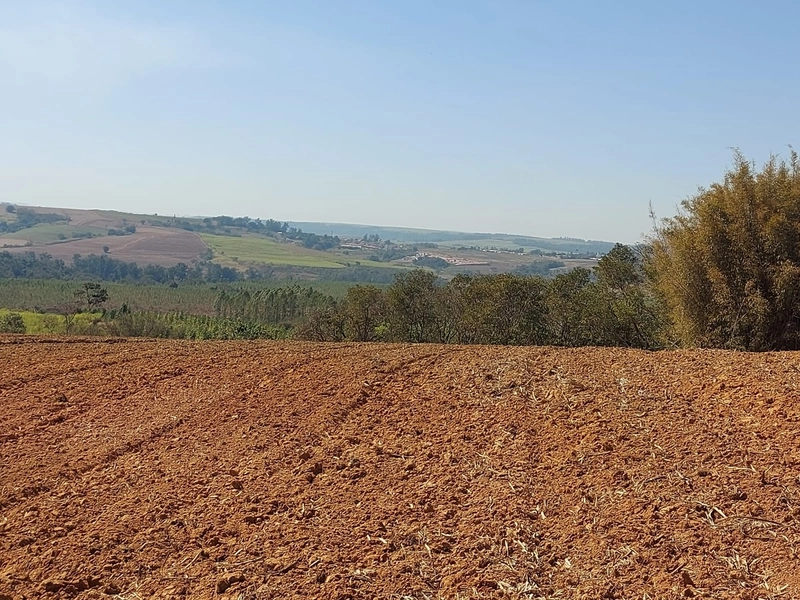 FAZENDA À VENDA EM CHARQUEADA COM 38 ALQUEIRES: 4ª foto da galeria de imagens do imóvel