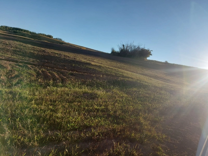 FAZENDA À VENDA EM CHARQUEADA COM 38 ALQUEIRES: 2ª foto da galeria de imagens do imóvel