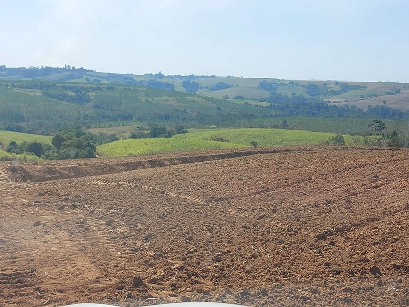 FAZENDA À VENDA EM CHARQUEADA COM 38 ALQUEIRES: 10ª foto da galeria de imagens do imóvel