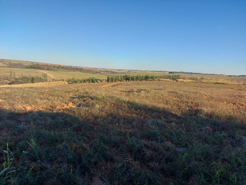 FAZENDA À VENDA EM CHARQUEADA COM 38 ALQUEIRES: 8ª foto da galeria de imagens do imóvel