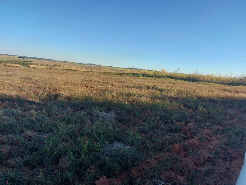FAZENDA À VENDA EM CHARQUEADA COM 38 ALQUEIRES: 3ª foto da galeria de imagens do imóvel