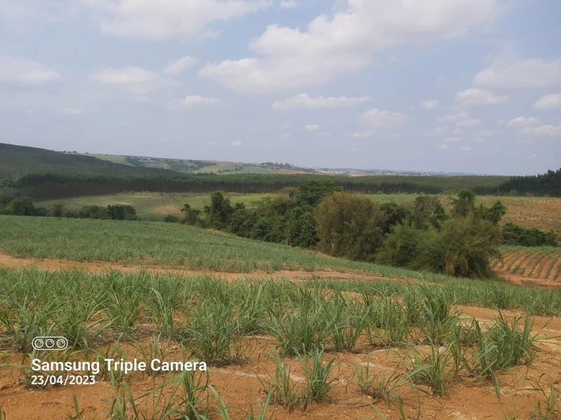 SITIO À VENDA NO BAIRRO SANTA LUZIA COM 3,3 ALQUEIRES: 10ª foto da galeria de imagens do imóvel