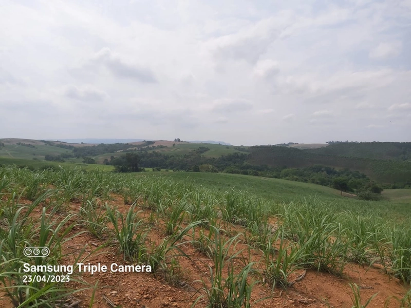 SITIO À VENDA NO BAIRRO SANTA LUZIA COM 3,3 ALQUEIRES: 2ª foto da galeria de imagens do imóvel