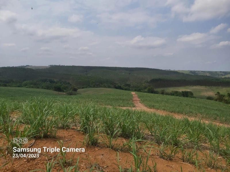 SITIO À VENDA NO BAIRRO SANTA LUZIA COM 3,3 ALQUEIRES