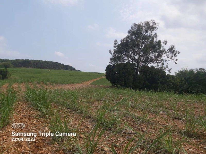 SITIO À VENDA NO BAIRRO SANTA LUZIA COM 3,3 ALQUEIRES: 4ª foto da galeria de imagens do imóvel