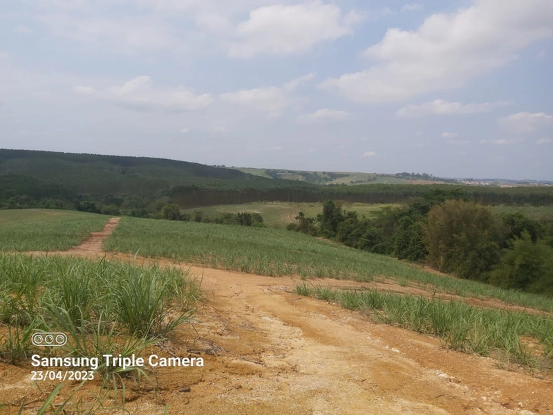 SITIO À VENDA NO BAIRRO SANTA LUZIA COM 3,3 ALQUEIRES: 8ª foto da galeria de imagens do imóvel
