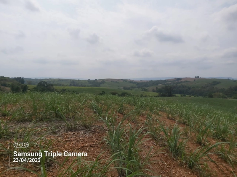 SITIO À VENDA NO BAIRRO SANTA LUZIA COM 3,3 ALQUEIRES: 9ª foto da galeria de imagens do imóvel