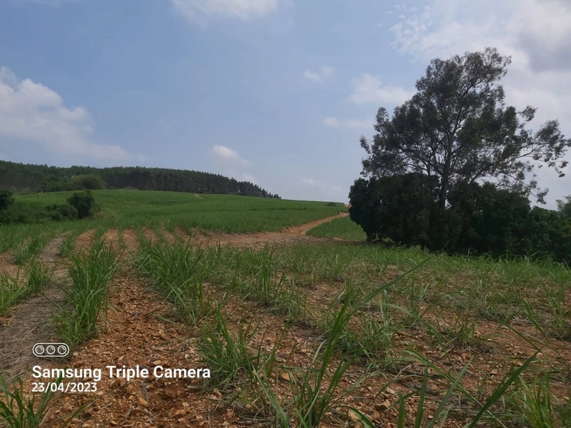 SITIO À VENDA NO BAIRRO SANTA LUZIA COM 3,3 ALQUEIRES: 3ª foto da galeria de imagens do imóvel