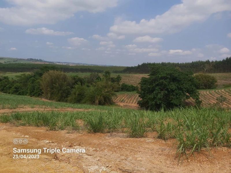 SITIO À VENDA NO BAIRRO SANTA LUZIA COM 3,3 ALQUEIRES: 5ª foto da galeria de imagens do imóvel