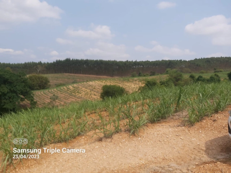 SITIO À VENDA NO BAIRRO SANTA LUZIA COM 3,3 ALQUEIRES: 6ª foto da galeria de imagens do imóvel