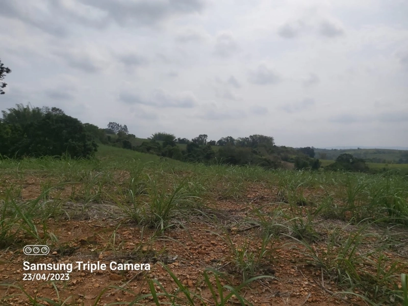 SITIO À VENDA NO BAIRRO SANTA LUZIA COM 3,3 ALQUEIRES: 7ª foto da galeria de imagens do imóvel