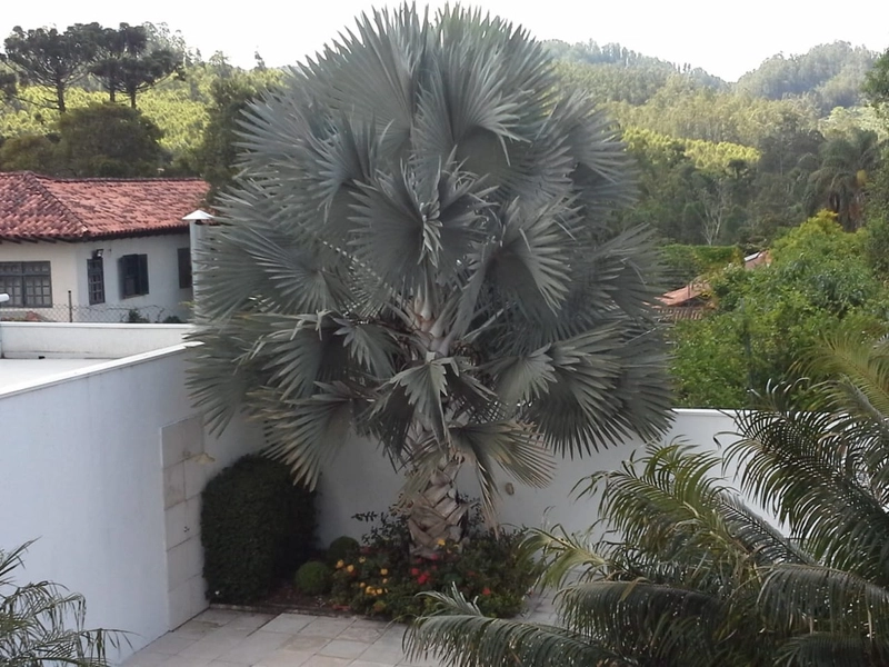 Casa de Alto Padrão em Nova Caieiras De R$ 1.950.000 por R$ 1.890.000: 48ª foto da galeria de imagens do imóvel