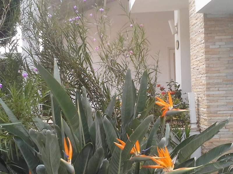 Casa de Alto Padrão em Nova Caieiras De R$ 1.950.000 por R$ 1.890.000: 31ª foto da galeria de imagens do imóvel