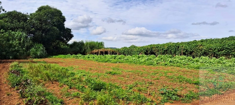 Terreno à Venda em Condomínio – Estrada da Vargem Grande - Franco R: 4ª foto da galeria de imagens do imóvel