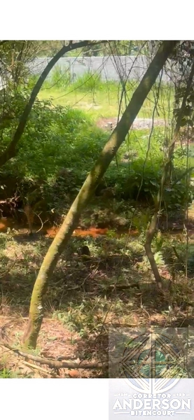 Terreno na Estrada da Vargem Grande - Franco da Rocha: 11ª foto da galeria de imagens do imóvel