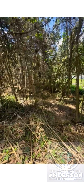 Terreno na Estrada da Vargem Grande - Franco da Rocha: 8ª foto da galeria de imagens do imóvel