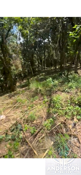 Terreno na Estrada da Vargem Grande - Franco da Rocha: 7ª foto da galeria de imagens do imóvel