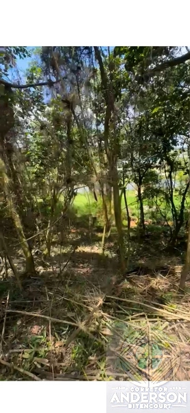 Terreno na Estrada da Vargem Grande - Franco da Rocha: 9ª foto da galeria de imagens do imóvel
