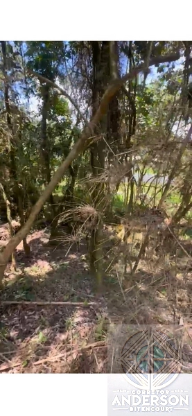 Terreno na Estrada da Vargem Grande - Franco da Rocha: 13ª foto da galeria de imagens do imóvel