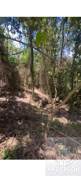 Terreno na Estrada da Vargem Grande - Franco da Rocha: 12ª foto da galeria de imagens do imóvel
