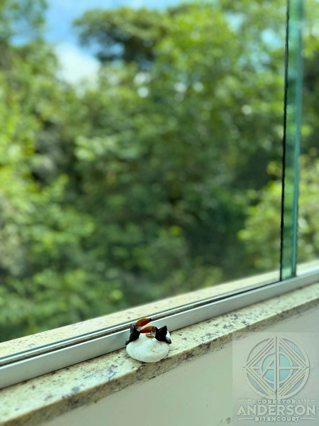 Venda – Casa de Vidro no Condomínio Parque Suíça – Caieiras/SP: 19ª foto da galeria de imagens do imóvel