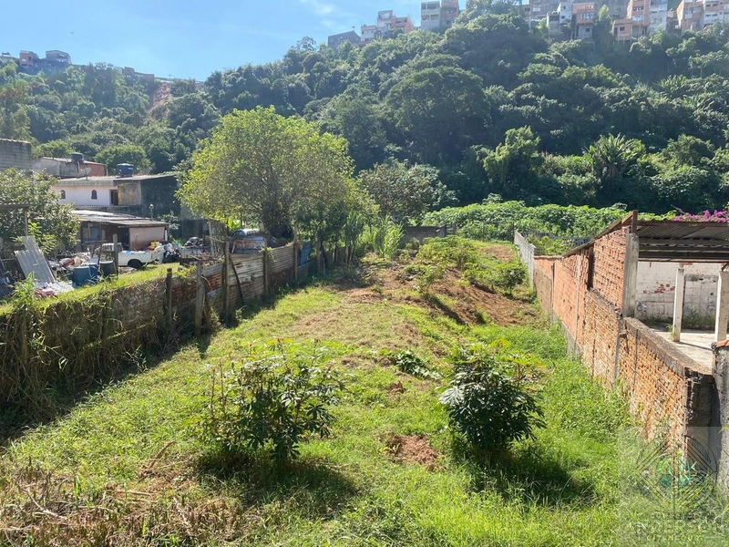 Terreno à Venda – Vila Bazu, Franco da Rocha/SP